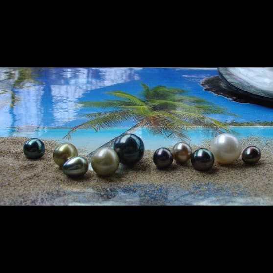 Click to view all images Clothing & Accessories business for sale in Mornington - Image 1