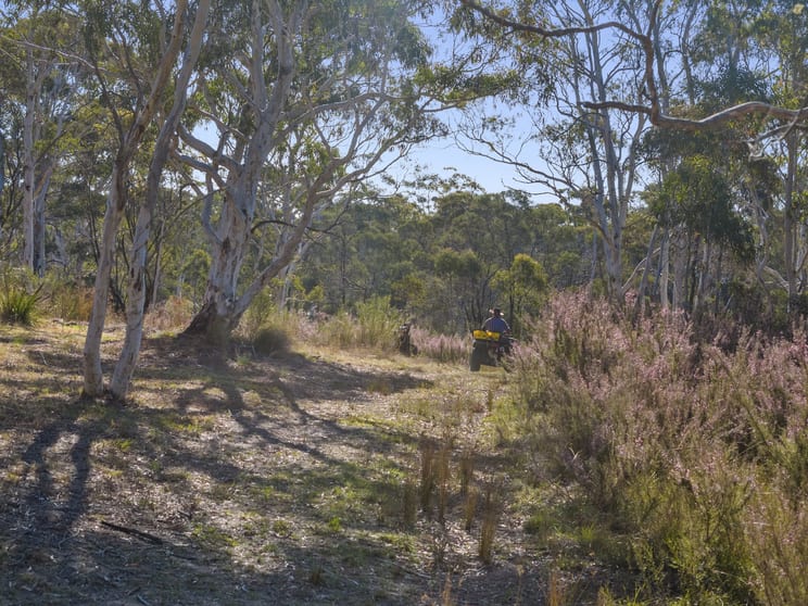 Click to view all images 123 Oallen Road Oallen NSW 2622 - Image 3