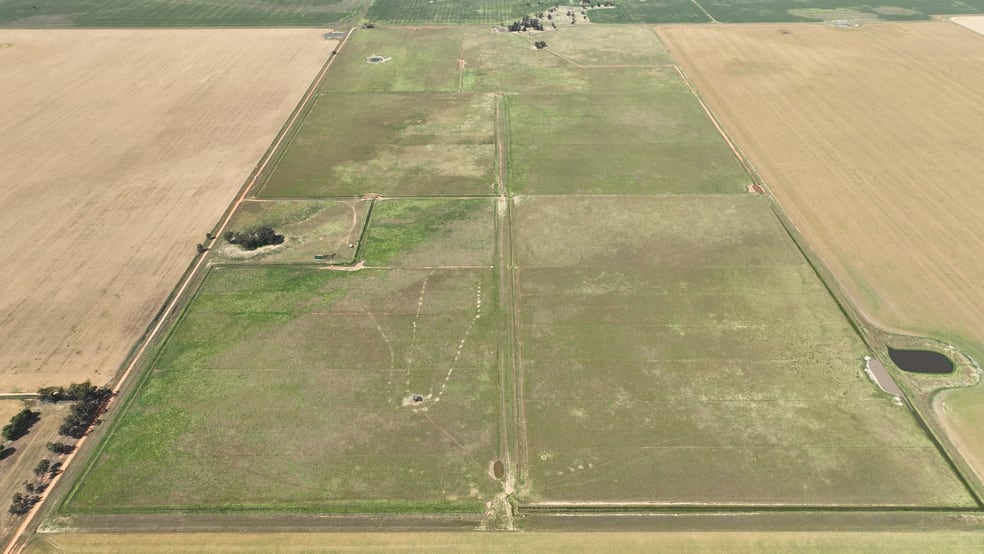 Click to view all images Petersons Hill Quongdong Road Deniliquin NSW 2710 - Image 2