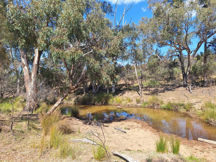 Click to view all images "Koompartoo" 258 Momo Road Tomingley NSW 2869 - Image 2