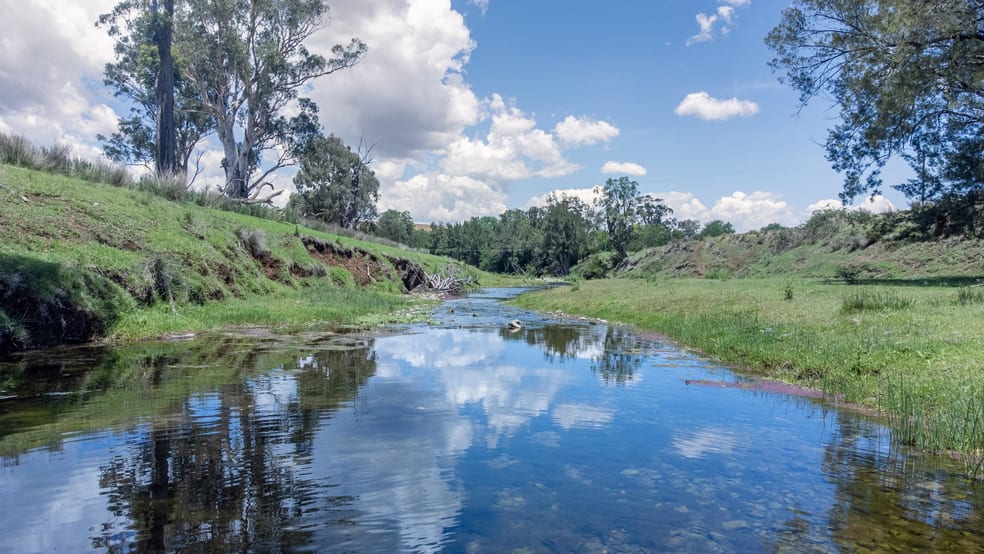 Click to view all images 5448 New England Hwy Blandford NSW 2338 - Image 2