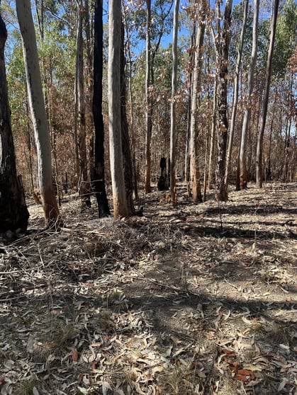 Click to view all images 75 Deep Creek Road Markwell NSW 2423 - Image 3