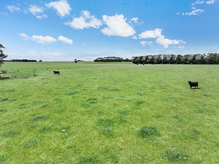 Click to view all images 4540 Princes Highway Birregurra VIC 3242 - Image 3