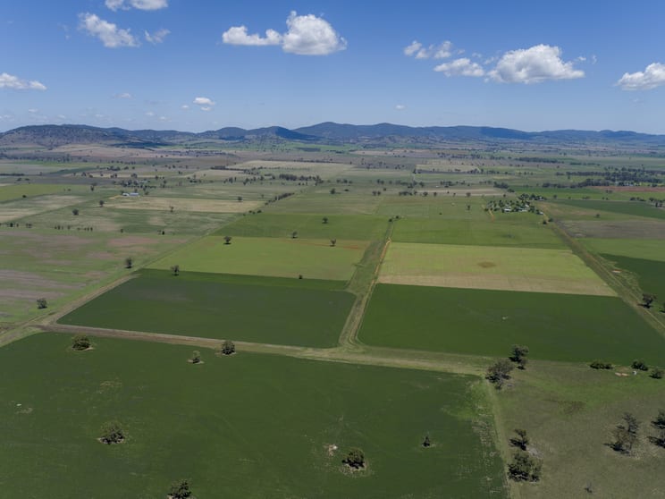 Click to view all images 511 Bithramere Lane Tamworth NSW 2340 - Image 3