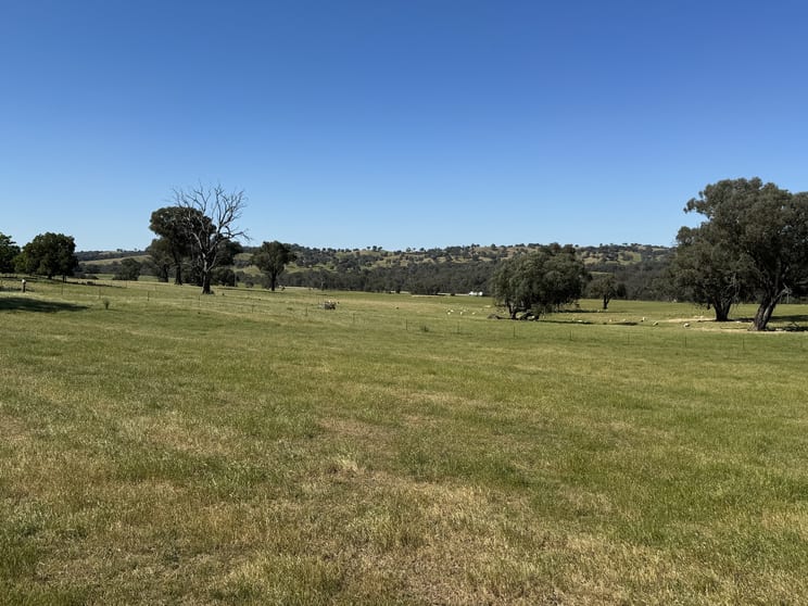 6096 Hume Highway Kyeamba NSW 2650 - Image 3