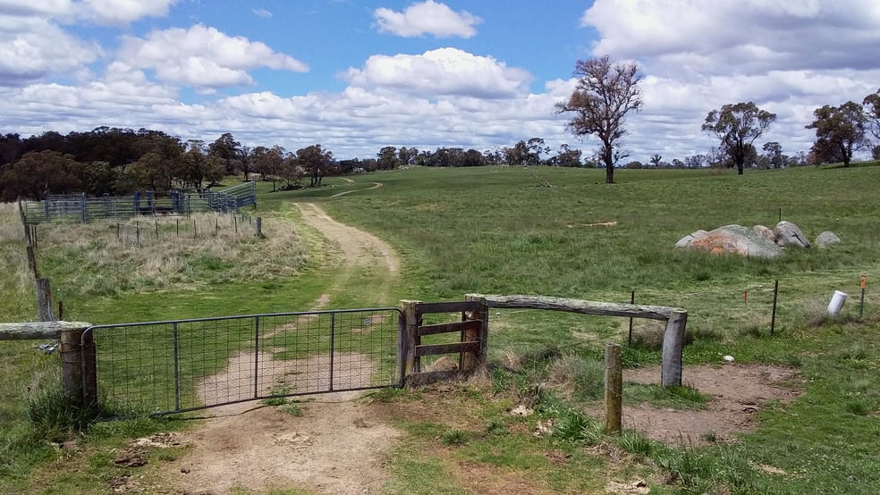 Click to view all images 800 Shannon Vale Road Shannon Vale NSW 2370 - Image 3