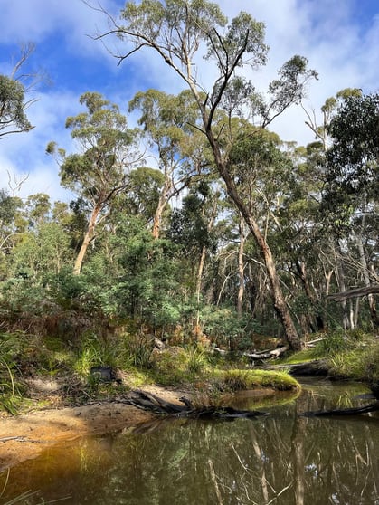 Click to view all images Hardings Road Nulla Vale VIC 3435 - Image 1