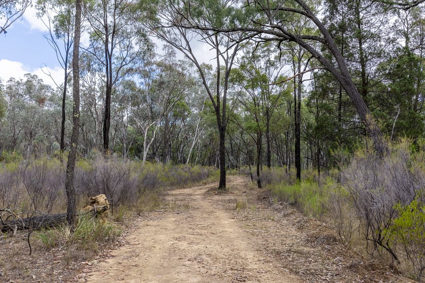Click to view all images 4300 Purlewaugh Road Coolah NSW 2843 - Image 3