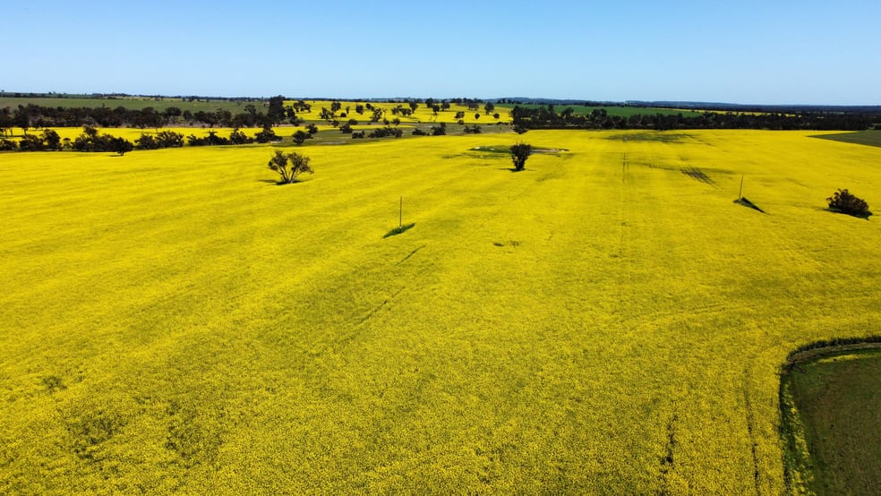 Click to view all images 2276 Kojonup-Katanning Road Carrolup WA 6317 - Image 3
