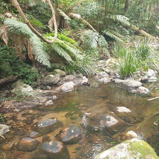 Click to view all images . Lands End Road, Kingsgate NSW 2370 - Image 3