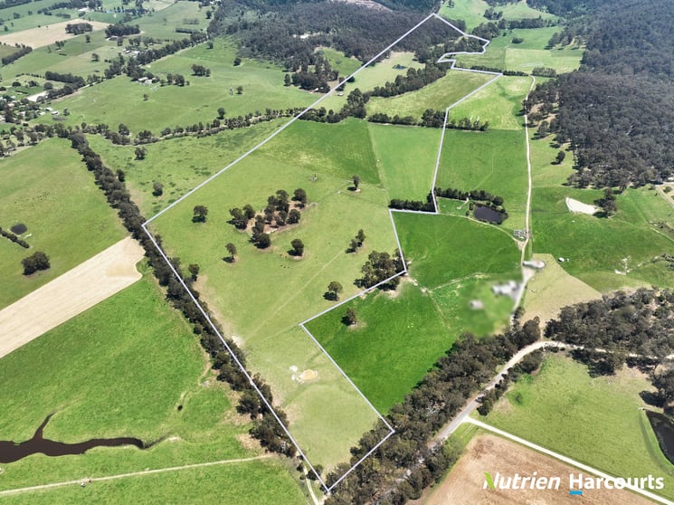 Click to view all images 111 Old Walhalla Road Toongabbie VIC 3856 - Image 3
