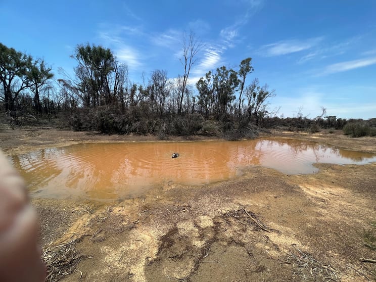 Click to view all images Lot 4 Mary Road Tara QLD 4421 - Image 3