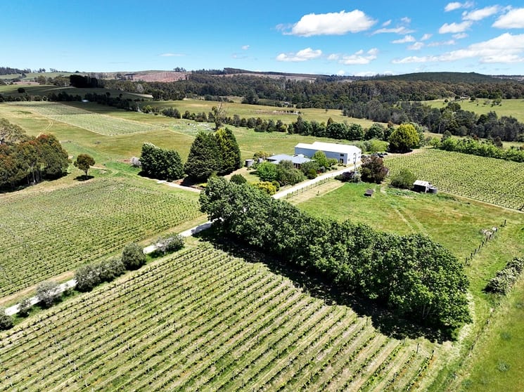 Click to view all images 167 Adams Road Lebrina TAS 7254 - Image 3