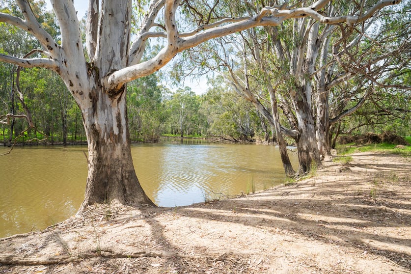Click to view all images Stamps Lane North Wangaratta VIC 3678 - Image 2