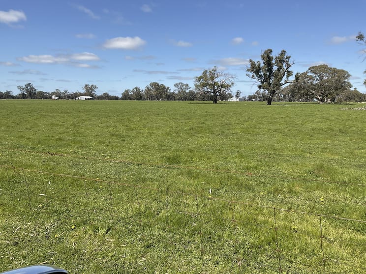 375 Ripley Park Road Apsley VIC 3319 - Image 1