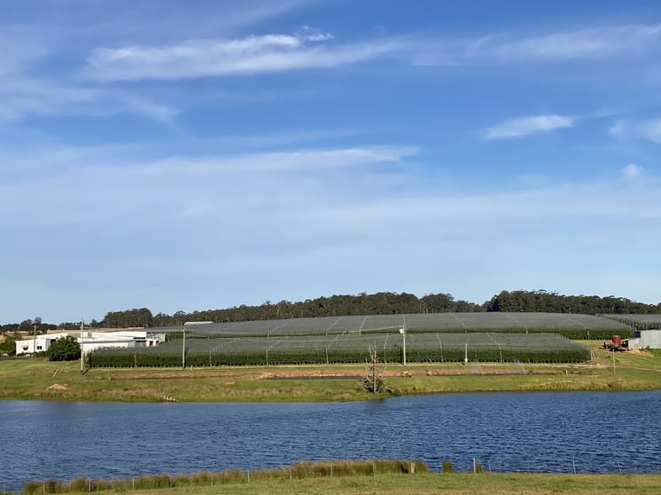 Click to view all images 503 Seven Day Road (Jardee) Manjimup WA 6258 - Image 2