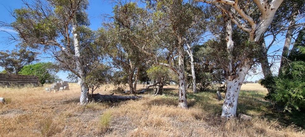 Click to view all images 224 Fullers Road Wagin WA 6315 - Image 2