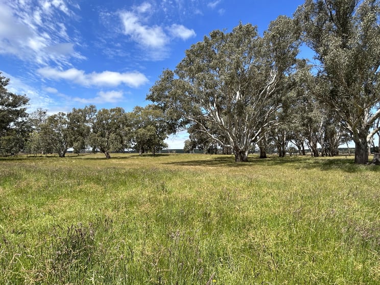 Click to view all images Lot/4 Sullivans Rd Dartmoor VIC 3304 - Image 2