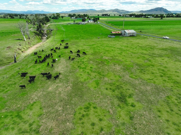 Click to view all images 162 Blairmore Lane Aberdeen NSW 2336 - Image 2