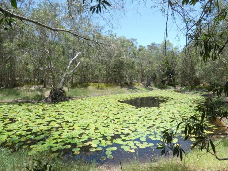 Click to view all images 2140 Tableland Road Mount Maria QLD 4674 - Image 2