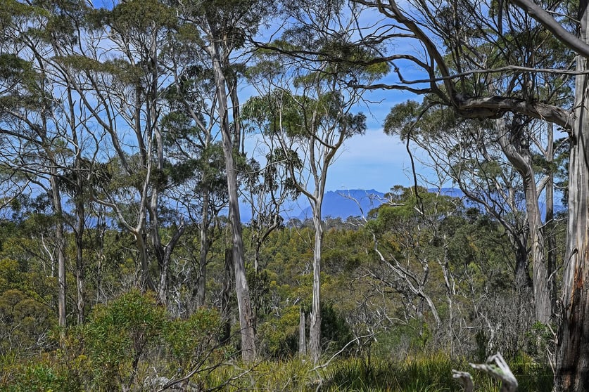 Click to view all images 298 Alma Road Orford TAS 7190 - Image 2