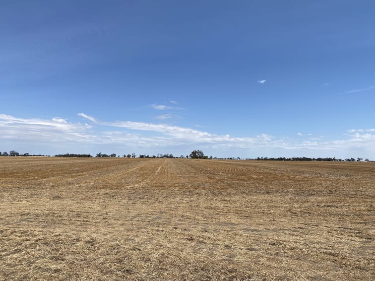 Click to view all images Donald-Murtoa Road Minyip VIC 3392 - Image 1