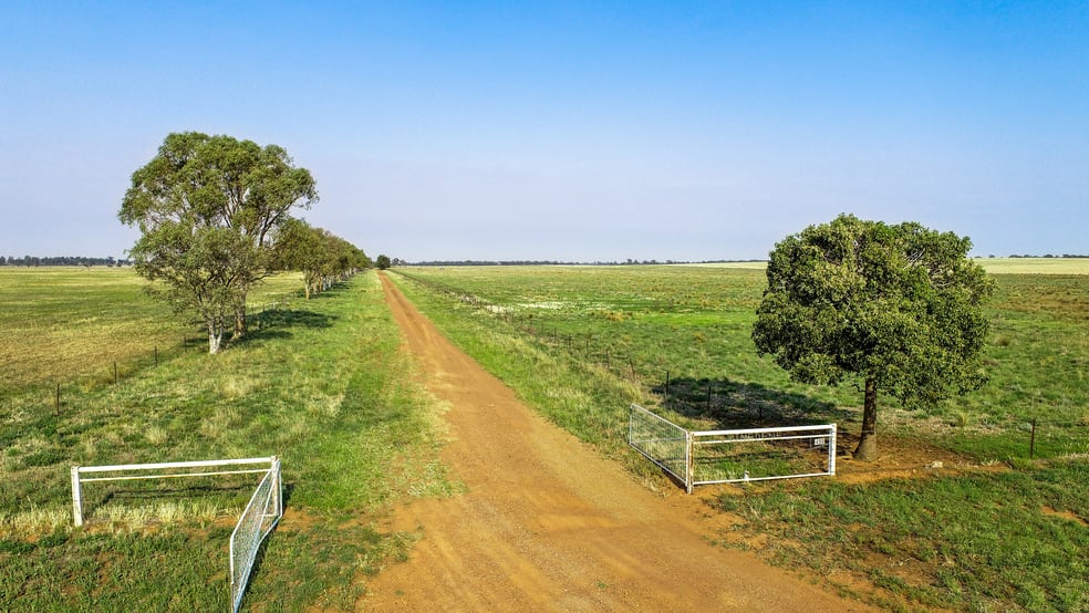 Click to view all images 490 Pinedene Road Narromine NSW 2821 - Image 1