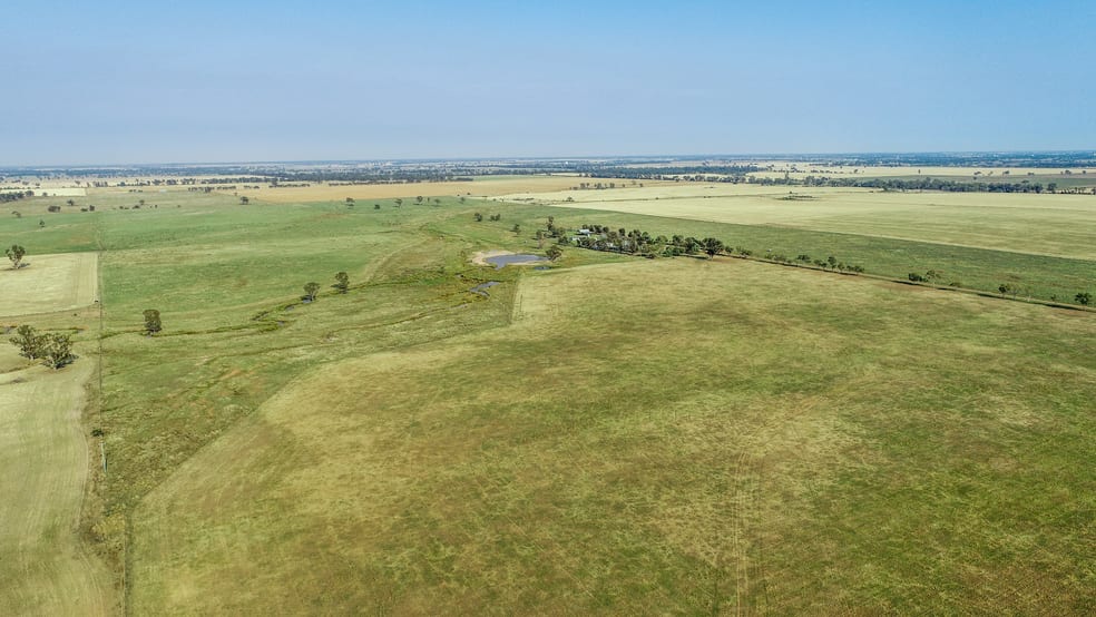 Click to view all images 490 Pinedene Road Narromine NSW 2821 - Image 3