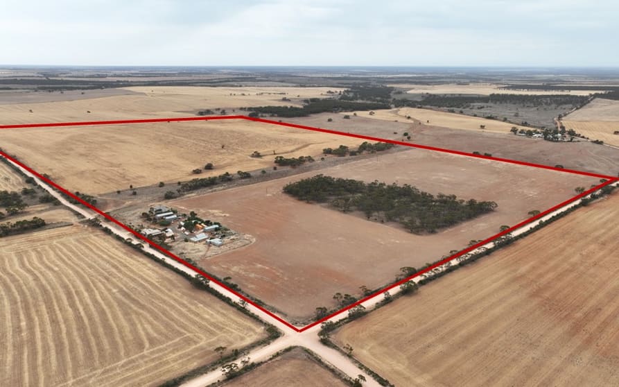 Click to view all images 1992 Frankton Road Neales Flat SA 5374 - Image 1