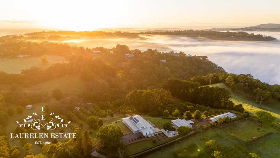 Click to view all images 15 Negus Road Montville QLD 4560 - Image 2