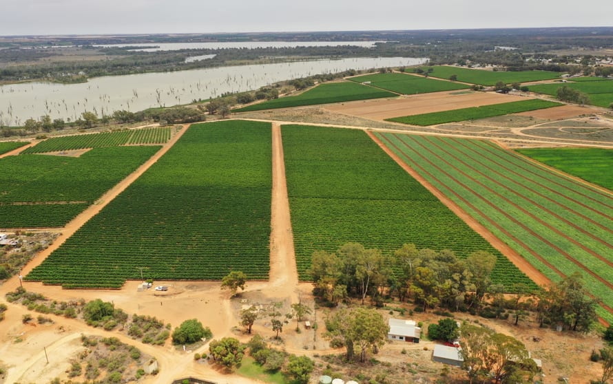 Click to view all images 151 ELEPHANT TRUNK ROAD Cobdogla SA 5346 - Image 1