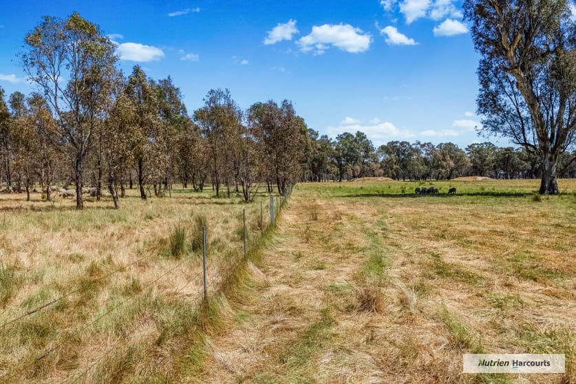 Click to view all images 250 Carmodys Road Locksley VIC 3665 - Image 3