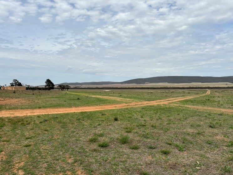 Click to view all images 147 Kobelt Road Darke Peak SA 5642 - Image 3