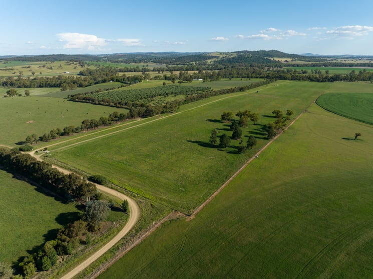 Click to view all images 262 Eldershaws Road Euberta NSW 2650 - Image 2