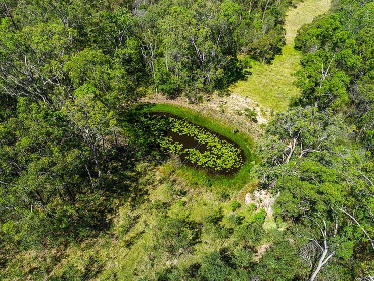 Click to view all images Lot 5 Bruxner Highway Drake NSW 2469 - Image 3