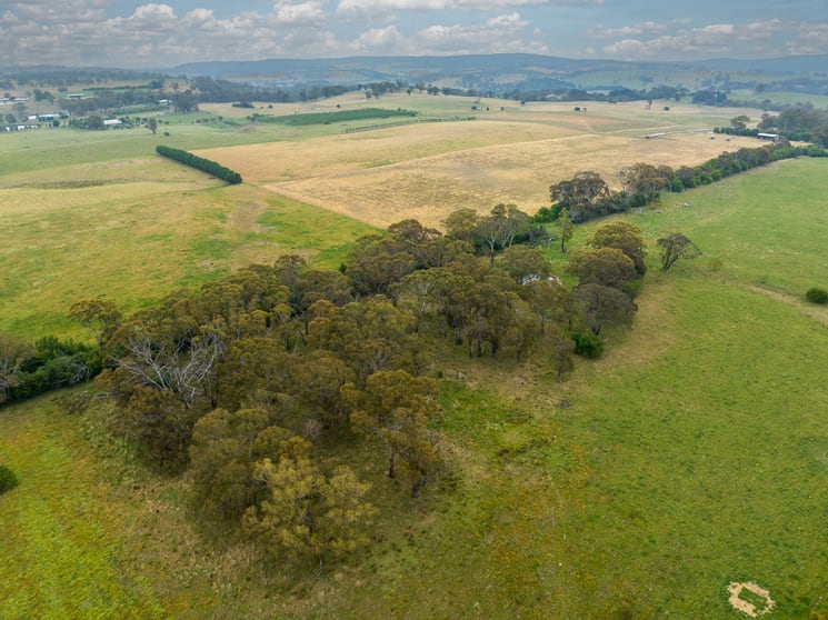 Click to view all images 'Part Sunnyview' Forest Reefs Road Orange NSW 2800 - Image 2