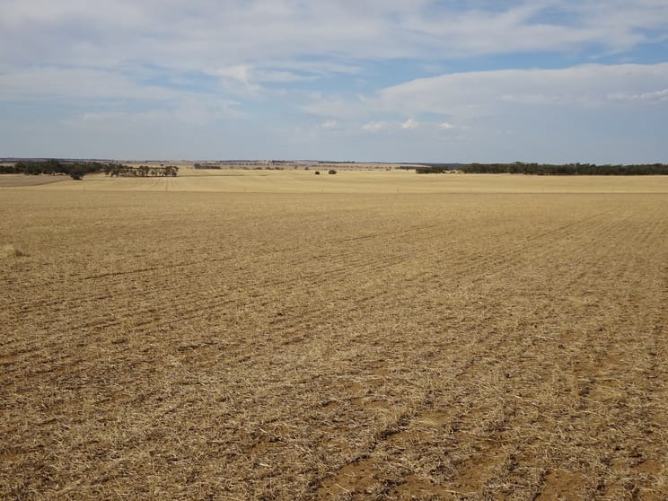 Click to view all images Treloars Road North Kukerin WA 6352 - Image 2