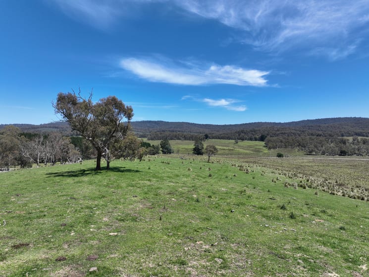 Click to view all images 171 Haydens Bog Road Delegate NSW 2633 - Image 1