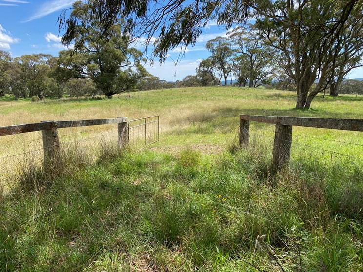 Click to view all images 980 Mayfield Road Essington NSW 2787 - Image 2