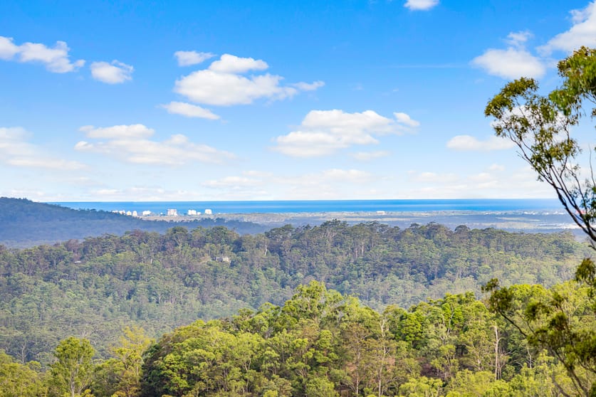 Click to view all images 269 Diamond Valley Road Diamond Valley QLD 4553 - Image 1