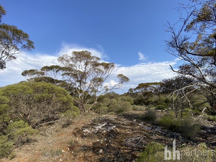 Click to view all images Lot 106 Jackson Road Ettrick SA 5253 - Image 1