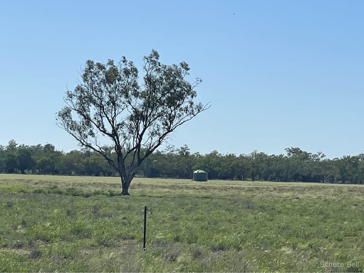 Click to view all images 1737 East Culgoa Road Brewarrina NSW 2839 - Image 1