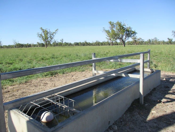 Click to view all images 412 ACRES PRIME RIVER GRAZING Dalby QLD 4405 - Image 3
