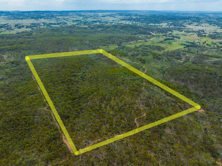Click to view all images 1578 Blakney Creek North Road Bevendale NSW 2581 - Image 1