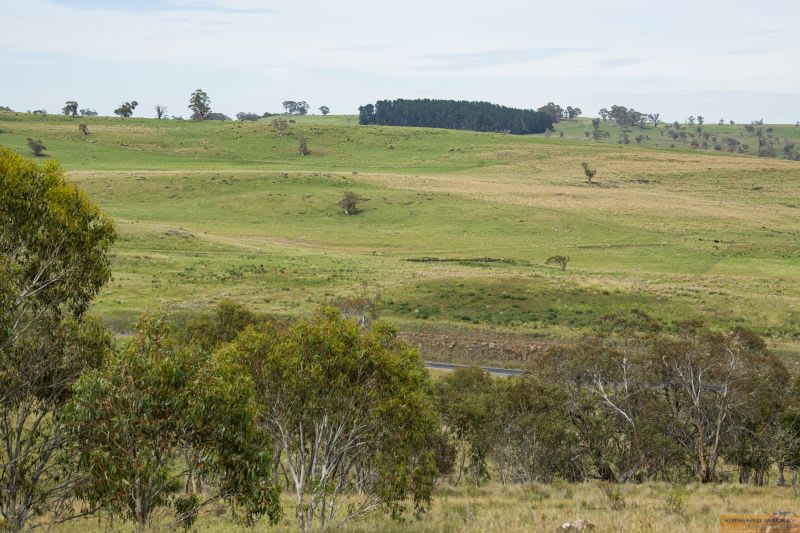 Click to view all images "Austral Park" 4035 Monaro Highway Steeple Flat NSW 2631 - Image 3