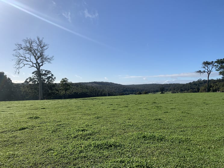 Click to view all images Lot 106 Wetherall Road Quinninup WA 6258 - Image 3
