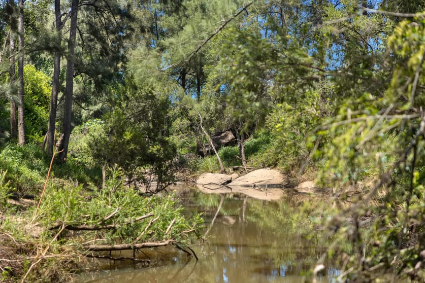 Click to view all images 32 Farm Road Bonalbo NSW 2469 - Image 3