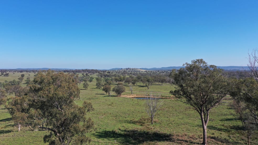 Click to view all images 216 Mt Drummond Road Bundarra NSW 2359 - Image 1