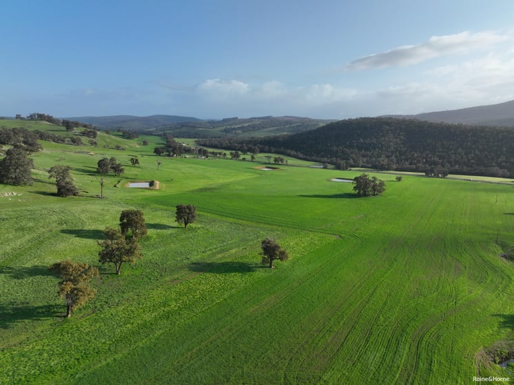 Click to view all images 6252 Harvey-Quindanning Road Lower Hotham WA 6390 - Image 3