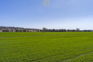 Click to view all images Blackville Road Willow Tree NSW 2339 - Image 2